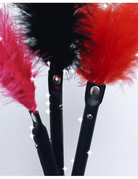 Producto - Pluma erotica- Color surtido