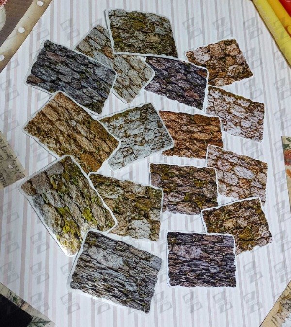 Producto - MUROS DE PIEDRA Y MUSGO