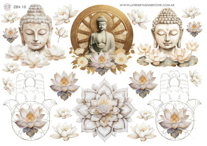 Producto - ZEN 10 TRANSFERMIXED