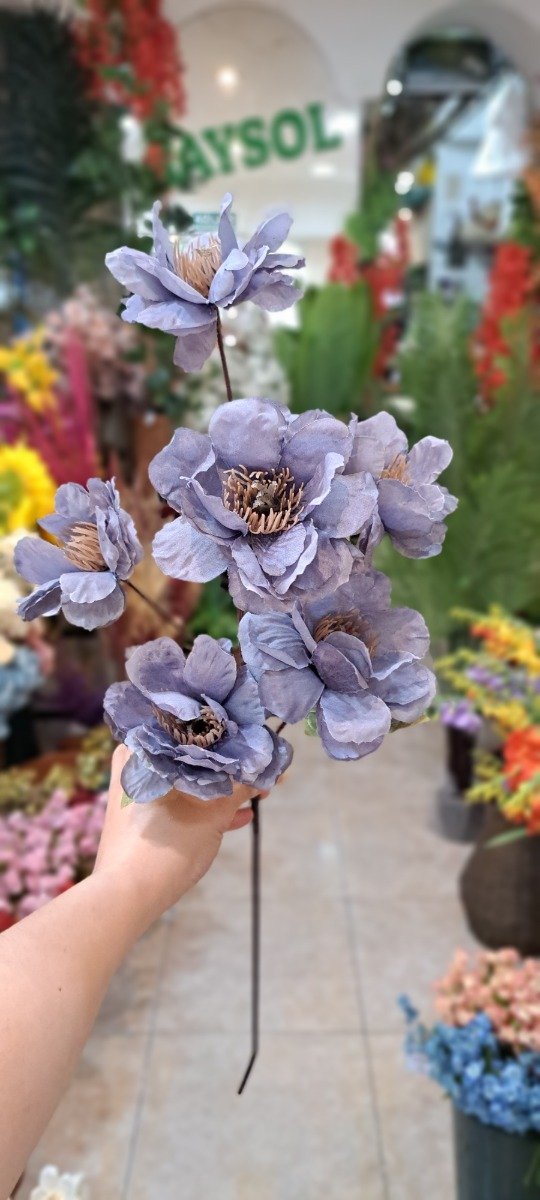 Producto - VARA DE PEONIAS X 6