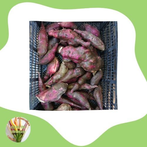 Producto - Batata morada -1Kg