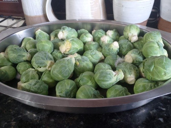 Producto - Repollitos de Bruselas agro x 1 kg