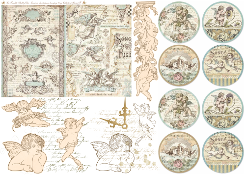 Producto - SHABBY 5