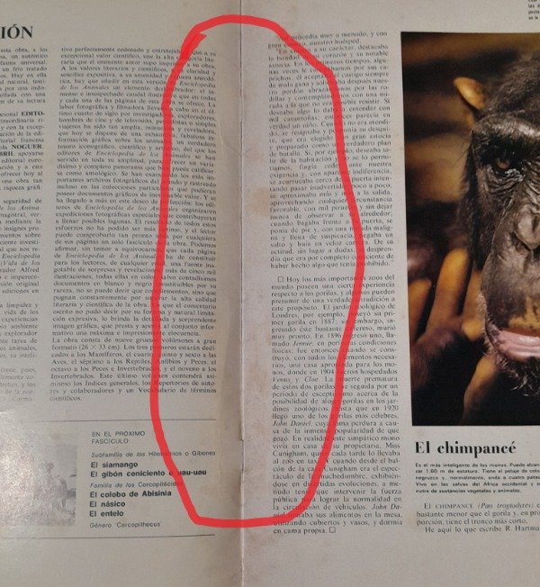 Miniatura de producto - 7