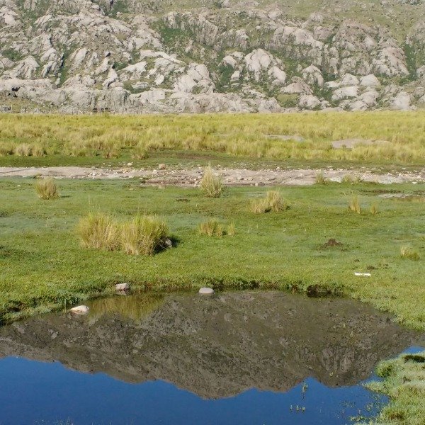 Miniatura de producto - 10