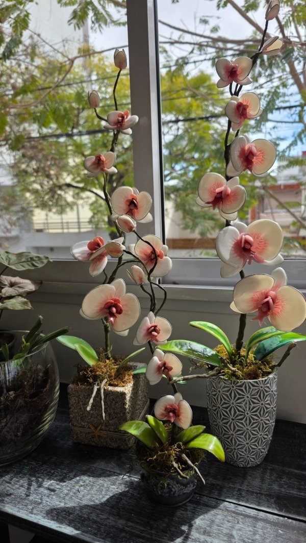 Producto - KIT VARA DE ORQUIDEAS - 2