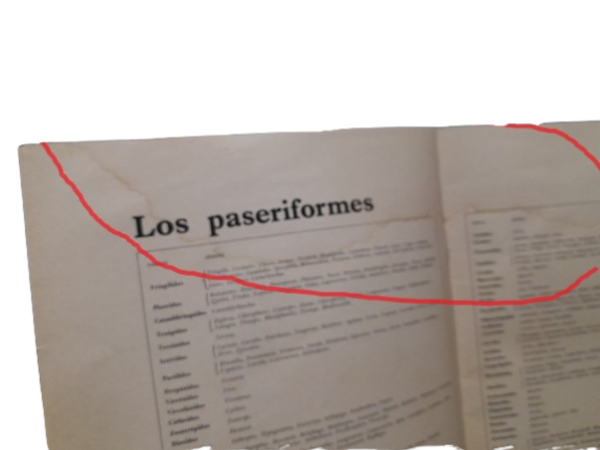 Miniatura de producto - 8