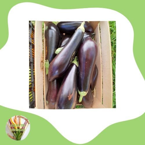 Producto - Berenjenas - 1kg