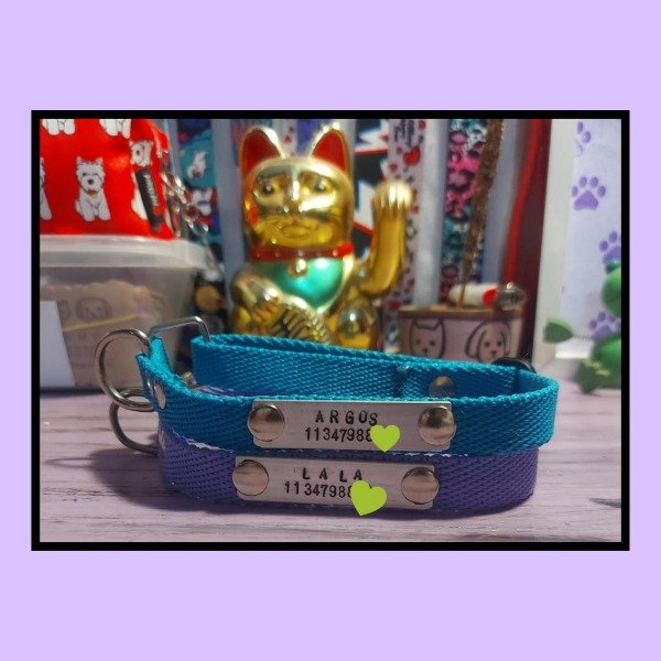 Producto - Collar identificatorio regulable LISO tamaño CHICO