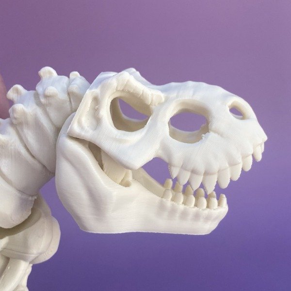 Producto - Esqueleto de T-Rex - 2