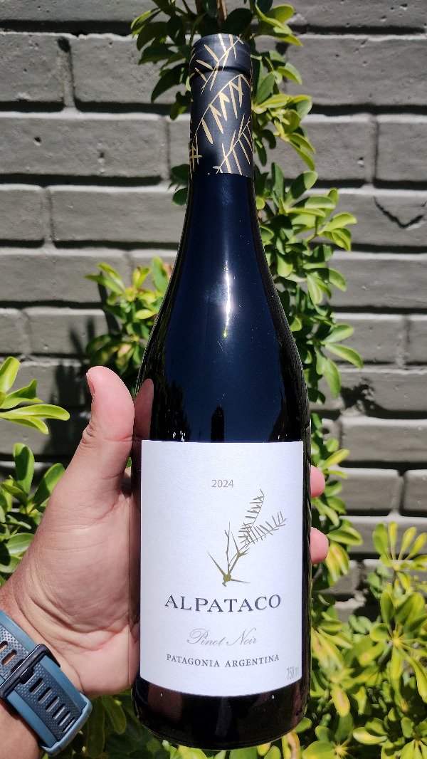 Producto - Alpataco - Pinot Noir
