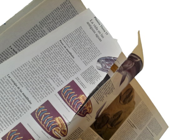 Miniatura de producto - 7