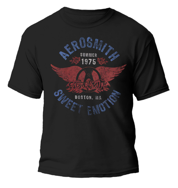 Producto - Remera Aerosmith Banda - TALLE M