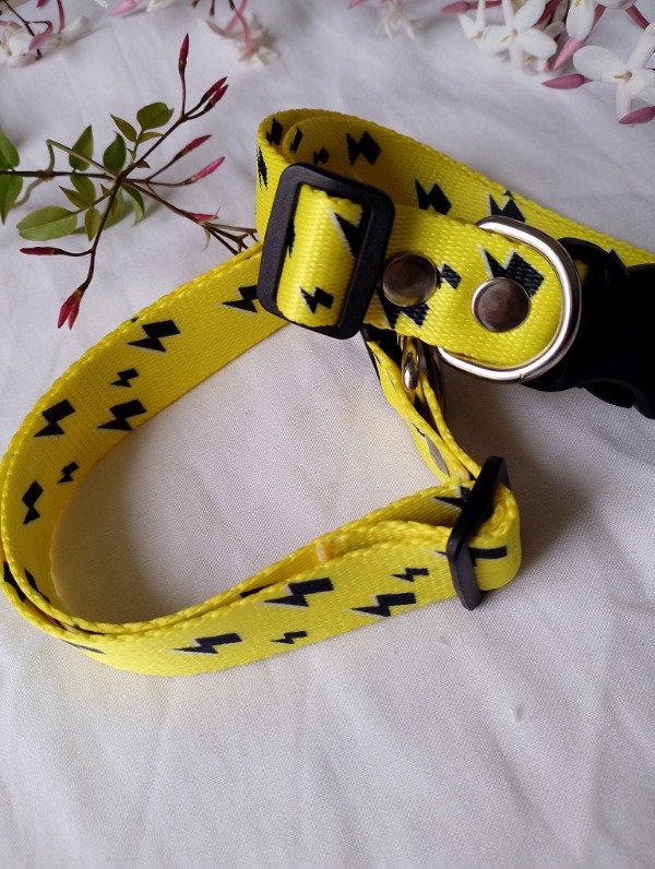 Producto - Collar Magnus - 2