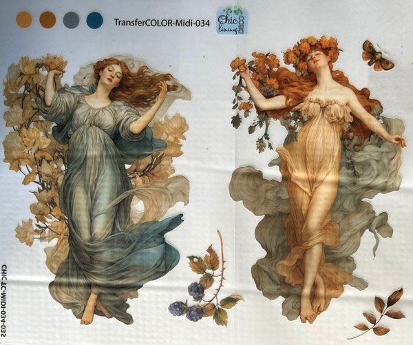 Producto - TransferCOLOR MIDI 034