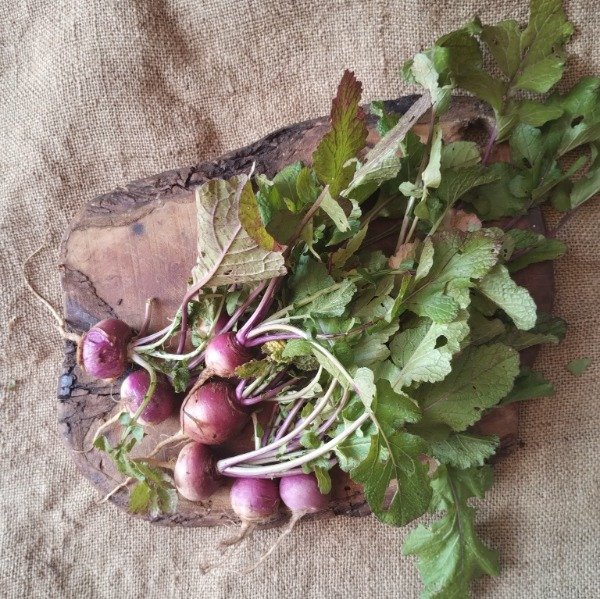 Producto - Nabo de color Mercado de la Tierra