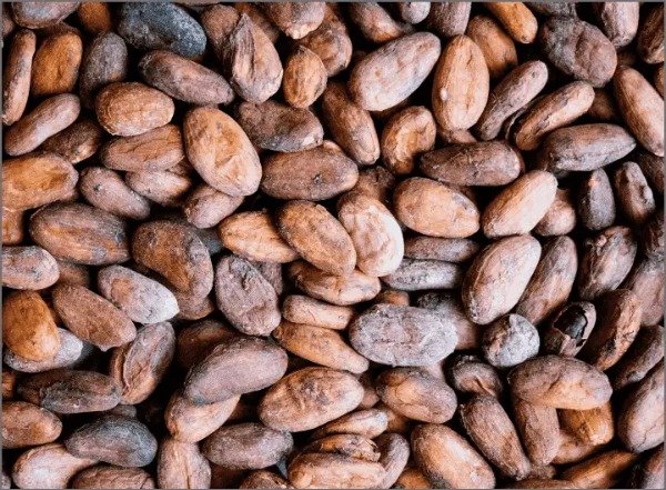 Producto - SEMILLAS DE CACAO TOSTADAS
