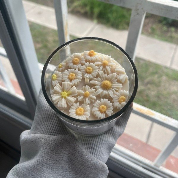 Producto - MINI DAYSI