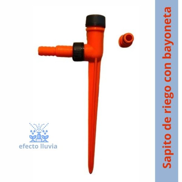 Producto - Sapito con bayoneta