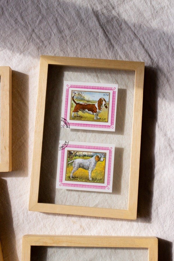 Producto - Estampillas Perros