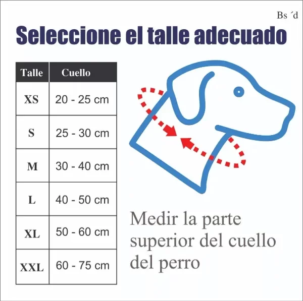 Producto - Collar Para Perros Pequeños Con Tachas Huesitos De Plata 45x2 cm - 5