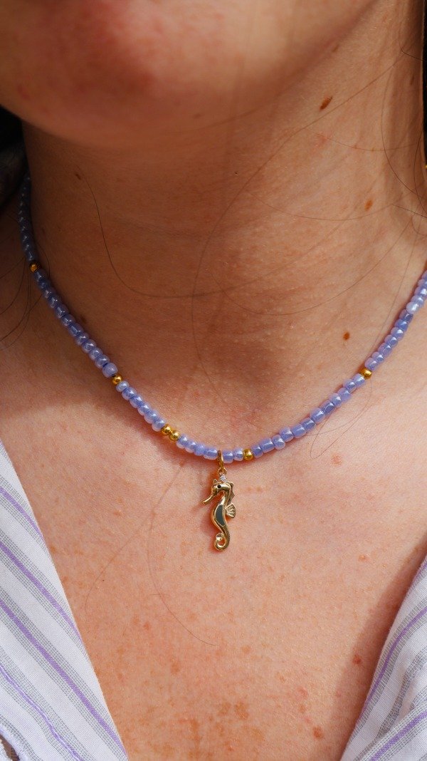 Producto - Collar Seahorse - 1