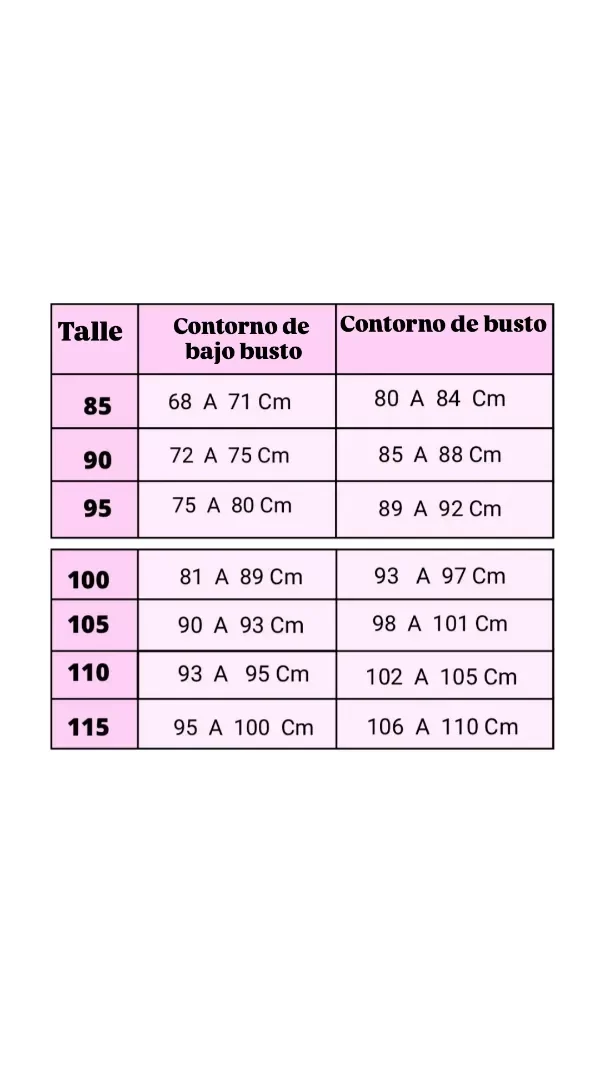 CORPIÑO DE PÚAS — imagen 3
