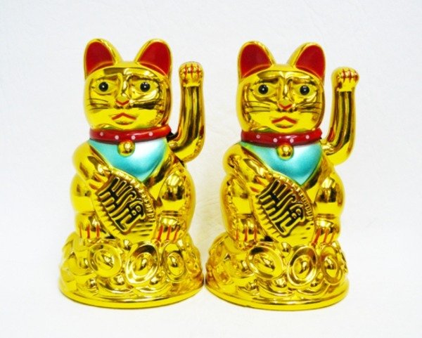 Producto - Gato dorado