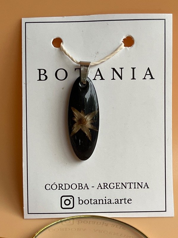 Producto - Semilla 6