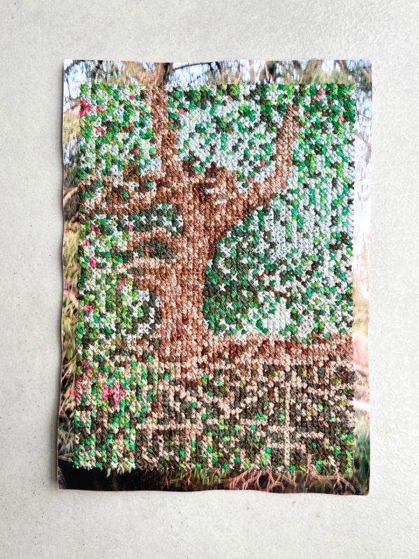 Producto - FOTOBORDADO RAICES - 0