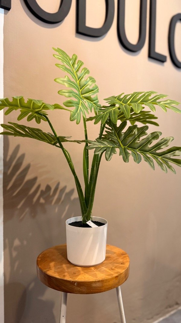 Producto - Planta philodendro con maceta 65cm