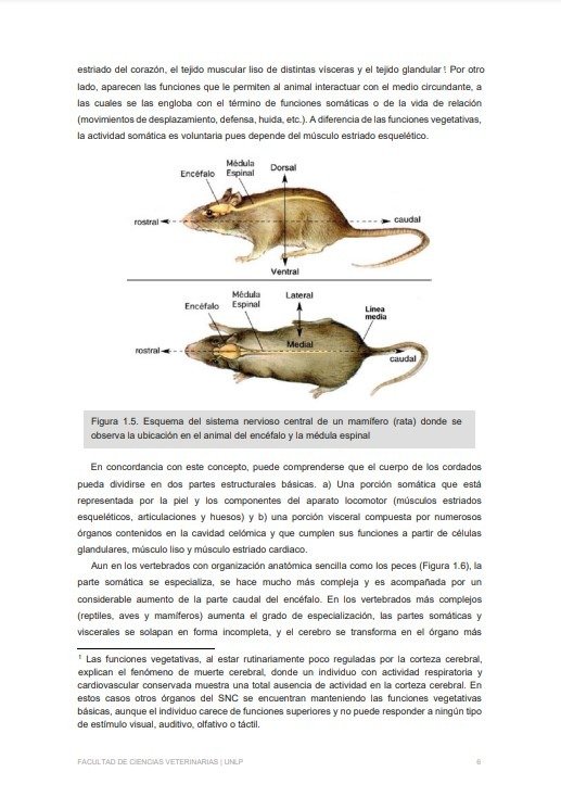 Producto - Zuccolilli: Neuroanatomía y Neurofisiología Animal - 5