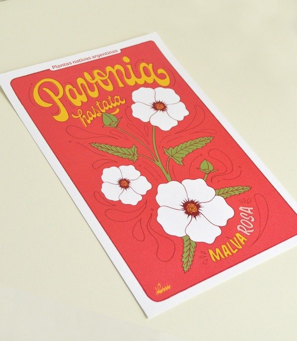 Producto - Print - Pavonia hastata, malva rosa - 1