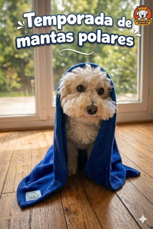 Producto - Manta Polar Azul