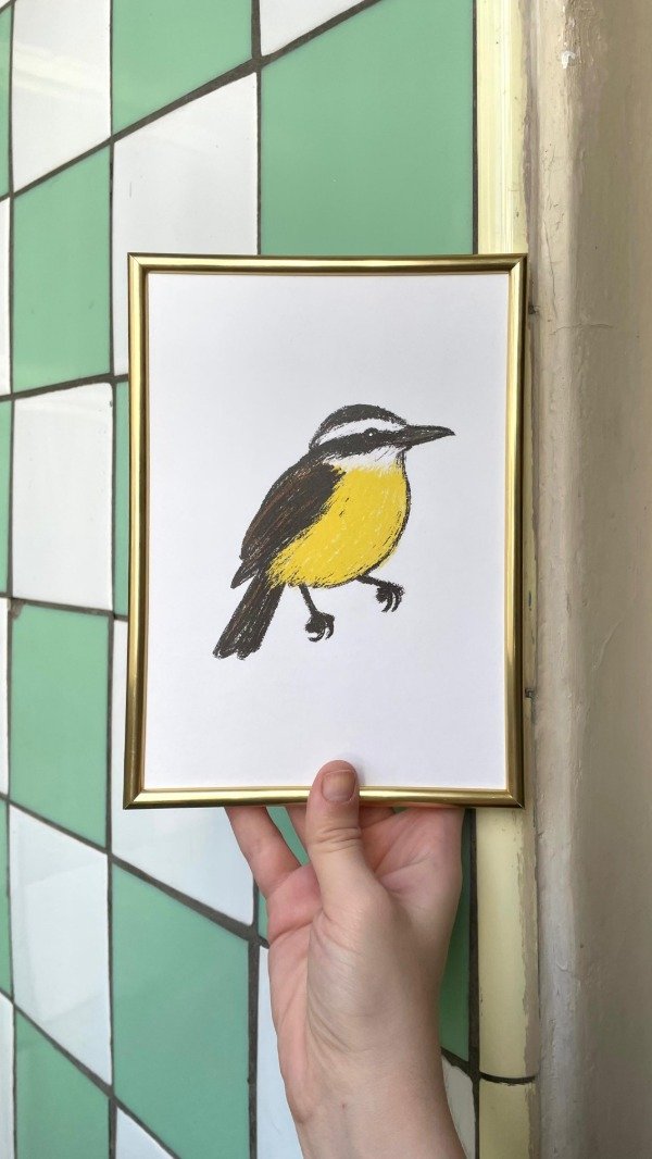 Producto - pitangus sulphuratus + marco dorado