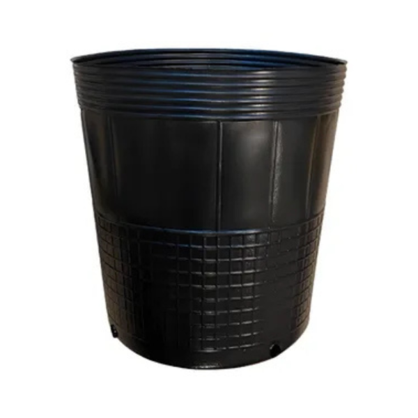 Producto - Soplada 20Lt