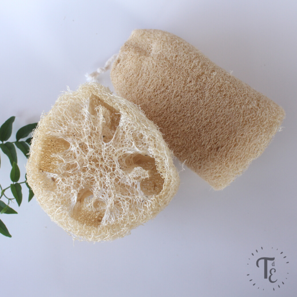 Producto - Esponja vegetal chica (luffa)