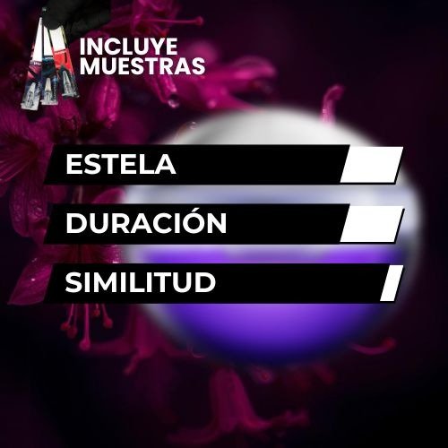 Producto - TIPO ULTRAVIOLET FEMENINO 55ml