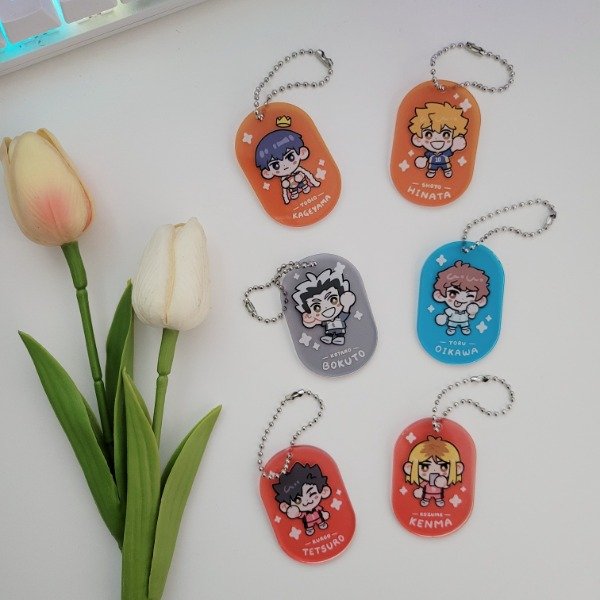 Producto - Llaveros Haikyuu tags