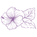 Logo de www.magicvibes.com.ar