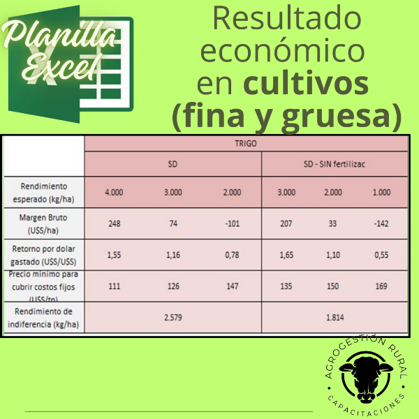 Producto - Planilla Excel de resultado económico en cultivo de fina/gruesa