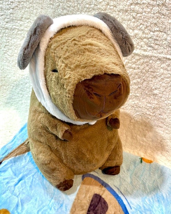 Producto - Peluche Capibara gigante con manta [RATONCITO]