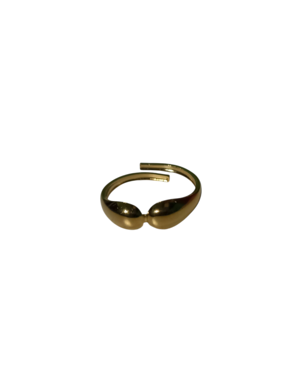 Producto - ANILLO ILLY REG