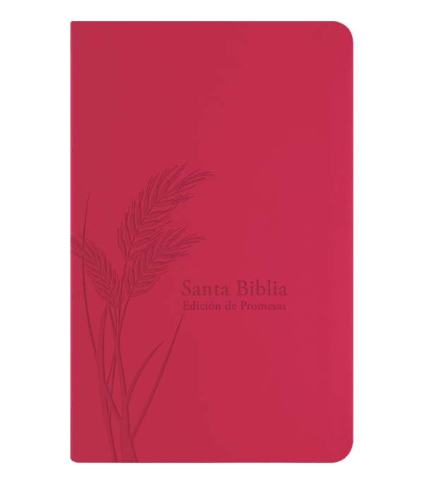 Producto - BIBLIA RVR PROMESAS LETRA GRANDE IMITACIÓN PIEL FUCSIA