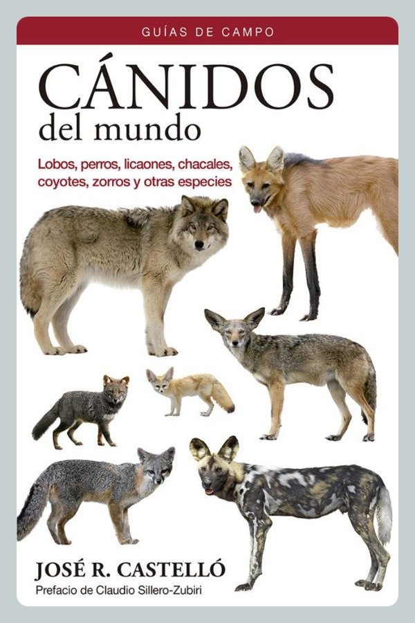 Producto - Castelló: Cánidos del Mundo