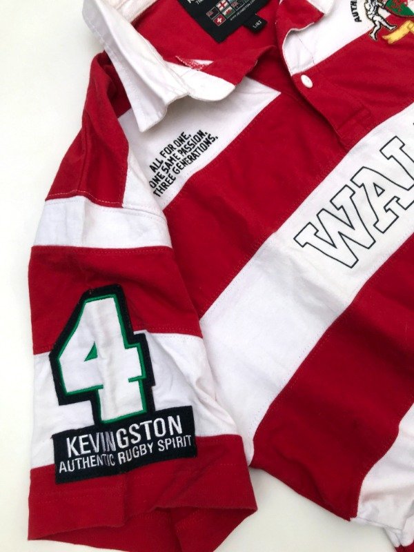 Producto - Chomba Polo  Wales KEVINGSTON - 4