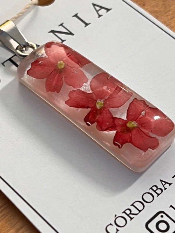Producto - Variedad 31 verbena roja - 1