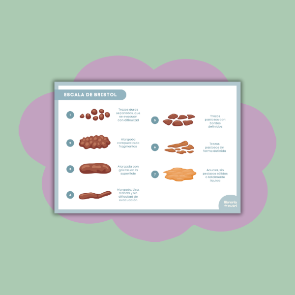 Producto - Escala de Bristol