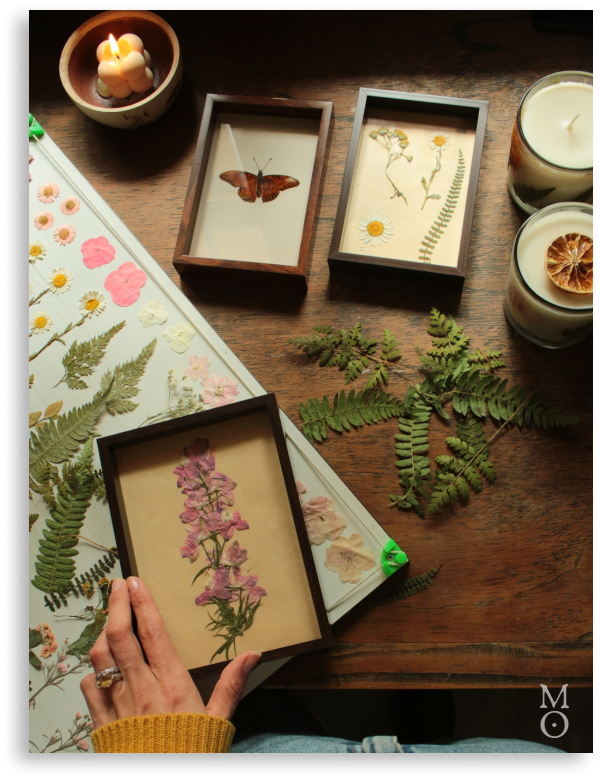 Producto - Cuadros Botánicos a pedido