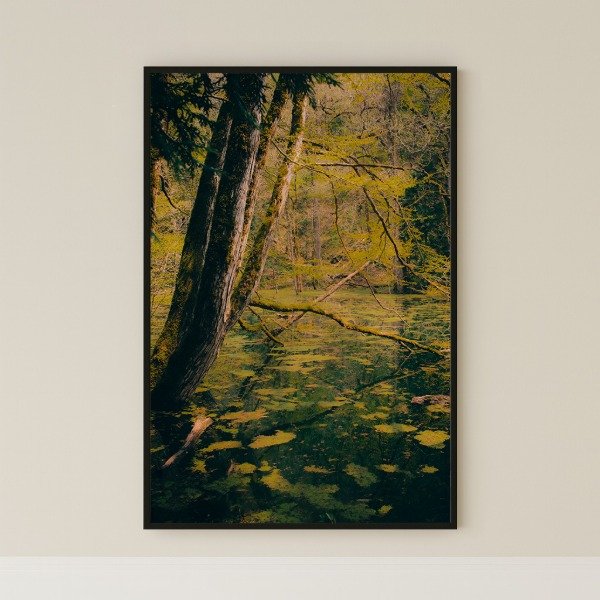 Producto - Bosque Espejado
